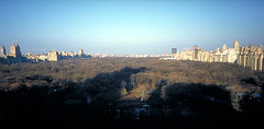 IMG0050 New York Central Park