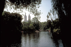 IMG0082 New York Central Park