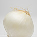 White Onion Still Life High Key 040114