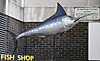 Fish shop
