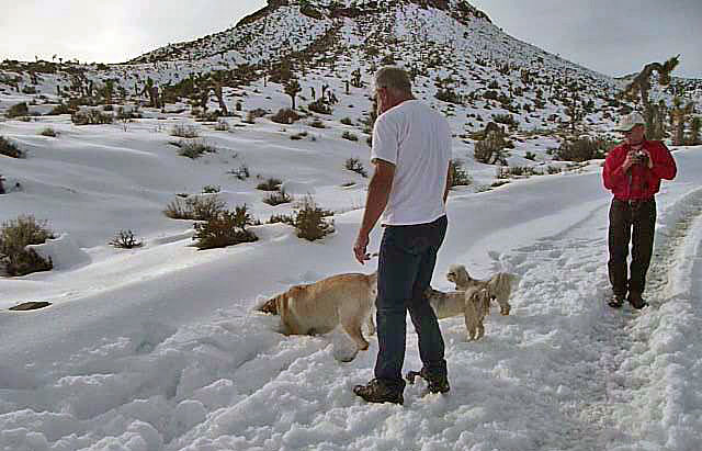 Nevada Snow (3496)