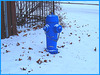 Borne à incendie dans le blanc / Blue hydrant in a white world