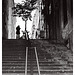 Lisbon stairs 1
