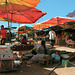 The market in Xayaboury