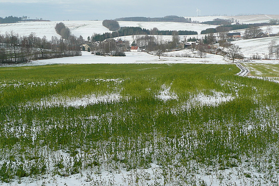 Winter im Osterzgebirge - 2008/2019