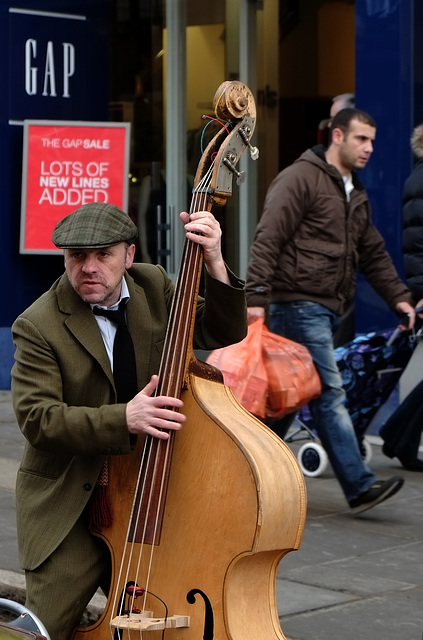 Guildford double bass player 1