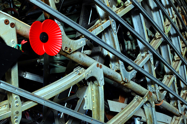 Brooklands New Years Day 2013 Geodesic Poppy