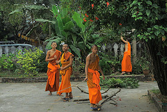 Novices clean the yard of Wat Manorom