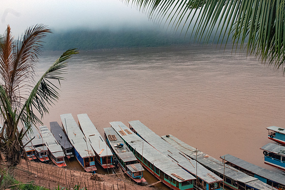 Morning mist over the Mekong river