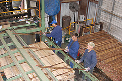 Begley Lumber Company