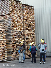 Begley Lumber Company