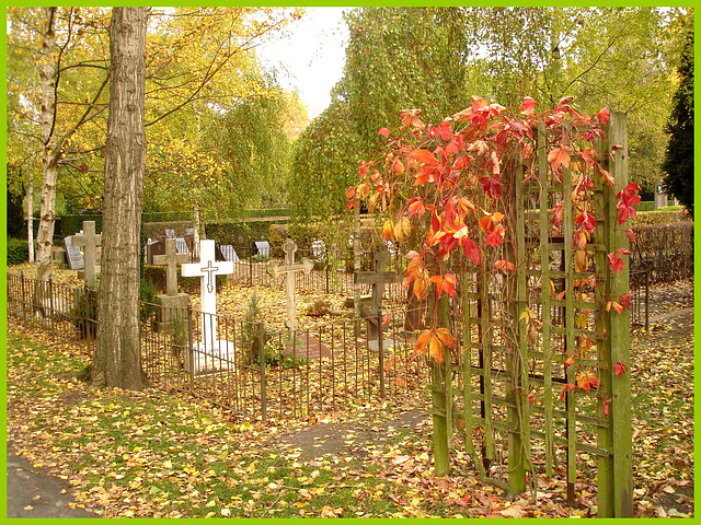 Cimetière de Copenhague- Copenhagen cemetery- 20 octobre 2008-Croix blanche dans la verdure- White cross in the greeness .