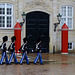 Copenhagen 10 Guards Amalienborg's Palace 2