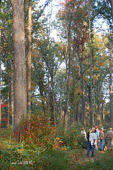 Daniel Boone National Forest