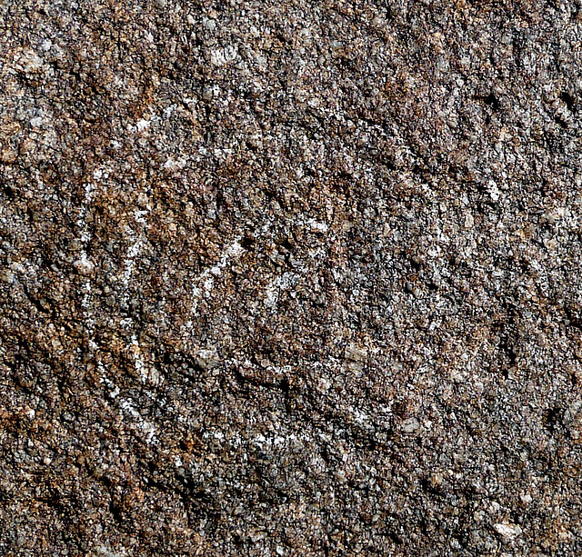 Wilhelm's Metate Ranch Petroglyph (2182)