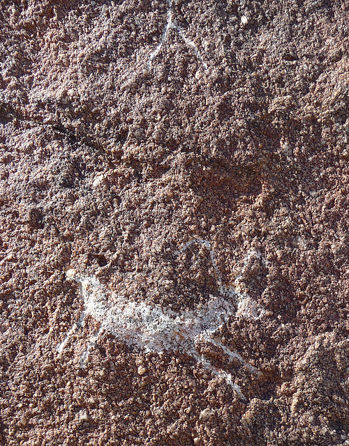 Wilhelm's Metate Ranch Petroglyph (2183)