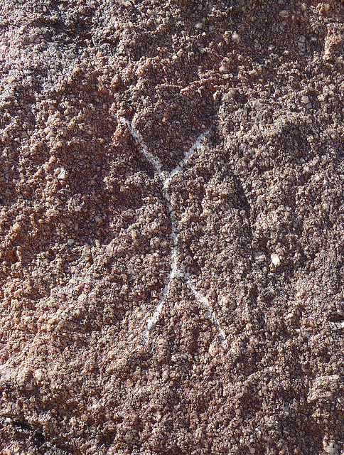 Wilhelm's Metate Ranch Petroglyph (2184)