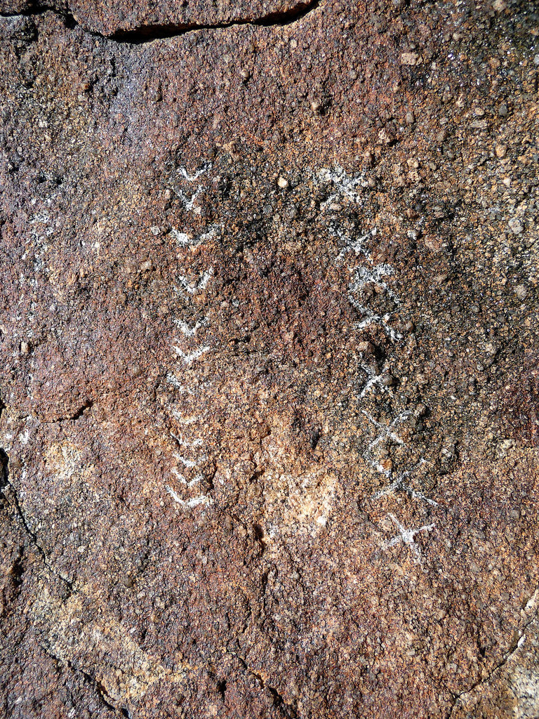 Wilhelm's Metate Ranch Petroglyph (2185)