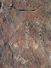 Wilhelm's Metate Ranch Petroglyph (2186)