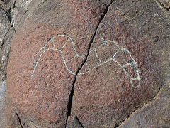 Wilhelm's Metate Ranch Petroglyph (2188)