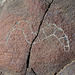 Wilhelm's Metate Ranch Petroglyph (2188)
