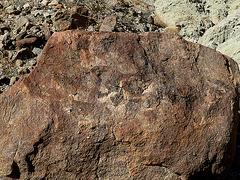 Wilhelm's Metate Ranch Petroglyph (2189)