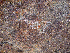 Wilhelm's Metate Ranch Petroglyph (2190)