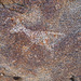 Wilhelm's Metate Ranch Petroglyph (2190)