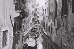 Venice 38