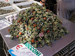 Sicilia - Meereschnecken - Fischmarkt Siracusa