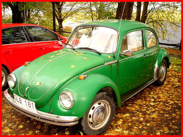 Volkswagen beetle parmi les feuilles d'automne