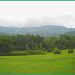 Vermonter Motor lodge landscape / Paysage de Vermont, USA /  August 2008.