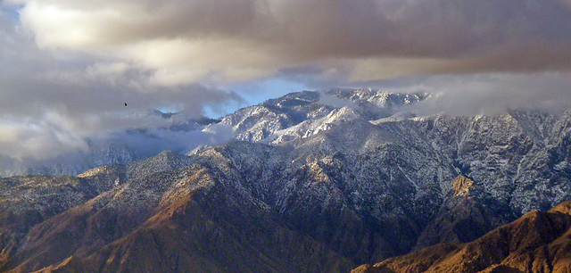 Mt. San Jacinto With Snow (2336)