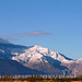 Mt. San Jacinto With Snow (2343)