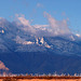 Mt. San Jacinto With Snow (2344)