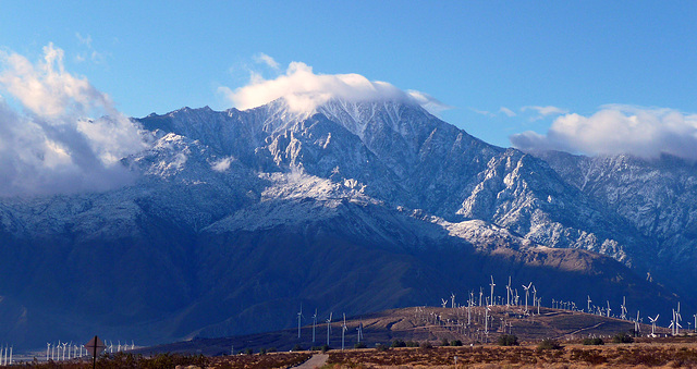 Mt. San Jacinto With Snow (2372)