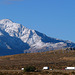 Mt. San Jacinto With Snow (2374)