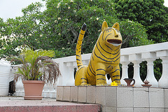 Hindu Tiger