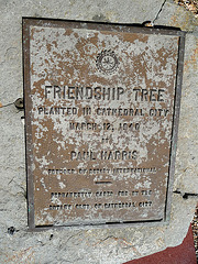 Friendship Tree (2398)