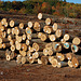 Begley Lumber Company Bar Codes