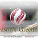 SeasonsGreetings.ChristmasTree.WashingtonPost.15L.NW.WDC.20dec08