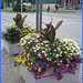 Bouquets de rue / Street bunches of flowers - Downtown / Centre-ville de Rimouski, Québec. CANADA.  11 août 2007.