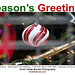 SeasonsGreetings3.WashingtonPost.15L.NW.WDC.20dec08