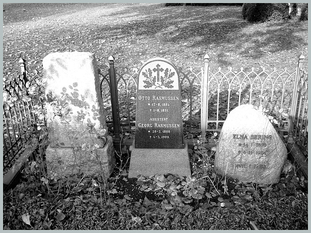 Cimetière de Copenhague- Copenhagen cemetery- 20 octobre 2008- Niveau de gris avec Photofiltre-Rasmussen & Bering.