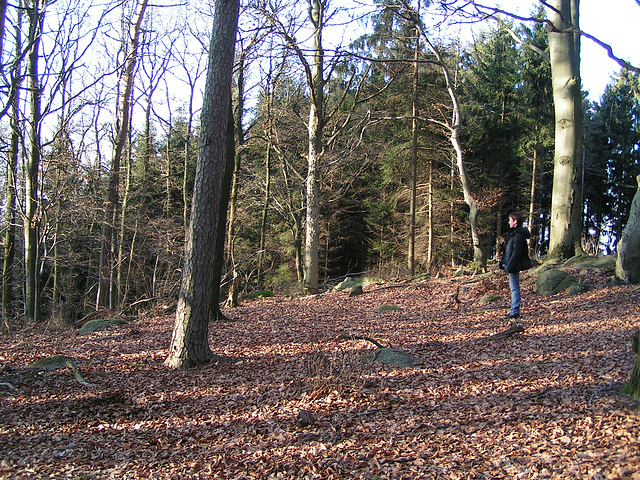 Odenwald - Wanderweg zum Götzenstein