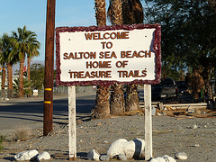Salton Sea Beach Treasure Trails (2445)
