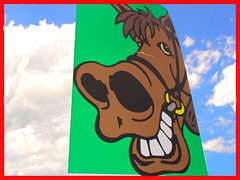 Festival Équestre  /  Equestrian festival  - Sourire chevalin !   /  Horsey grin !  -    Le Sûroit du Québec.