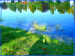 Reflet arborescent mouillé et multicolore /  Wet trees reflection and multicolored - Ondulations verticales / Vertical corrugations -   Dans ma ville / Hometown.