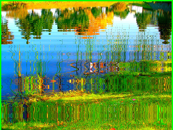 Reflet arborescent mouillé et multicolore / Reflets dans l'eau