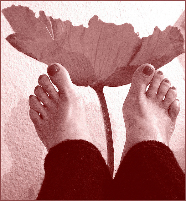 Pieds voluptueux et rouge floral lascif.  Voluptuous feet and lascivious floral -  Cadeau  /  Gift.